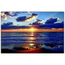 Sheikh profile picture