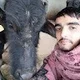 Anil S.