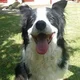 Billy