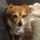 Julie
