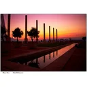 Happy Solo profile picture