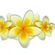Ireen