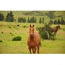 Paul B profile picture