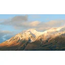 Angela profile picture