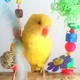 hellotam