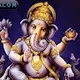 Vishal P.