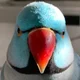 MisterC