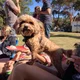 BennyBoris