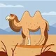 Hadia B.