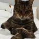 Pete