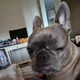 Amy