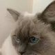 Strangesophie
