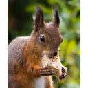 Kylie profile picture