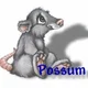 hellopossum69