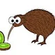 Kiwi K.