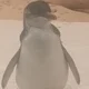 Passed off