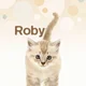 Robyn9
