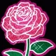 majoritypink
