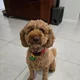 RAJ