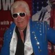 silverfox