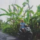 Max W.