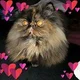 Janice