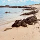 Michelle
