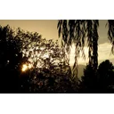 John Dempsey profile picture