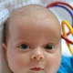 Jabiru-Baby