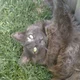 MissyMoo42