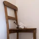 Dejavu