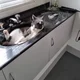 Tom
