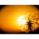 Matina profile picture