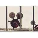 Stephen Noy profile picture