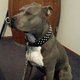 ZAK
