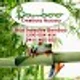 Bamboo Creations V.
