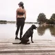 Tegan V.