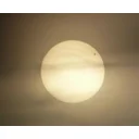 Rodney profile picture