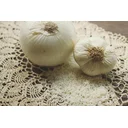 Eva Qiu profile picture