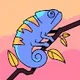 Blob F.