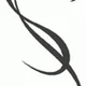 blueblacksnake