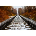 Kerry W profile picture