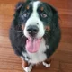 Zoe