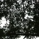 BeingMindful