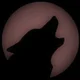 wolf..