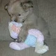 tinka52012