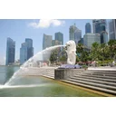 Fiona profile picture