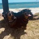 Courtney P. profile picture