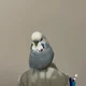 StaceyLPL