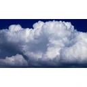 Maureen profile picture